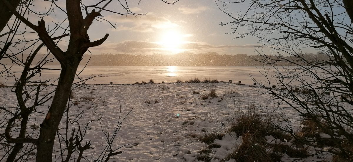 Februar 2021.