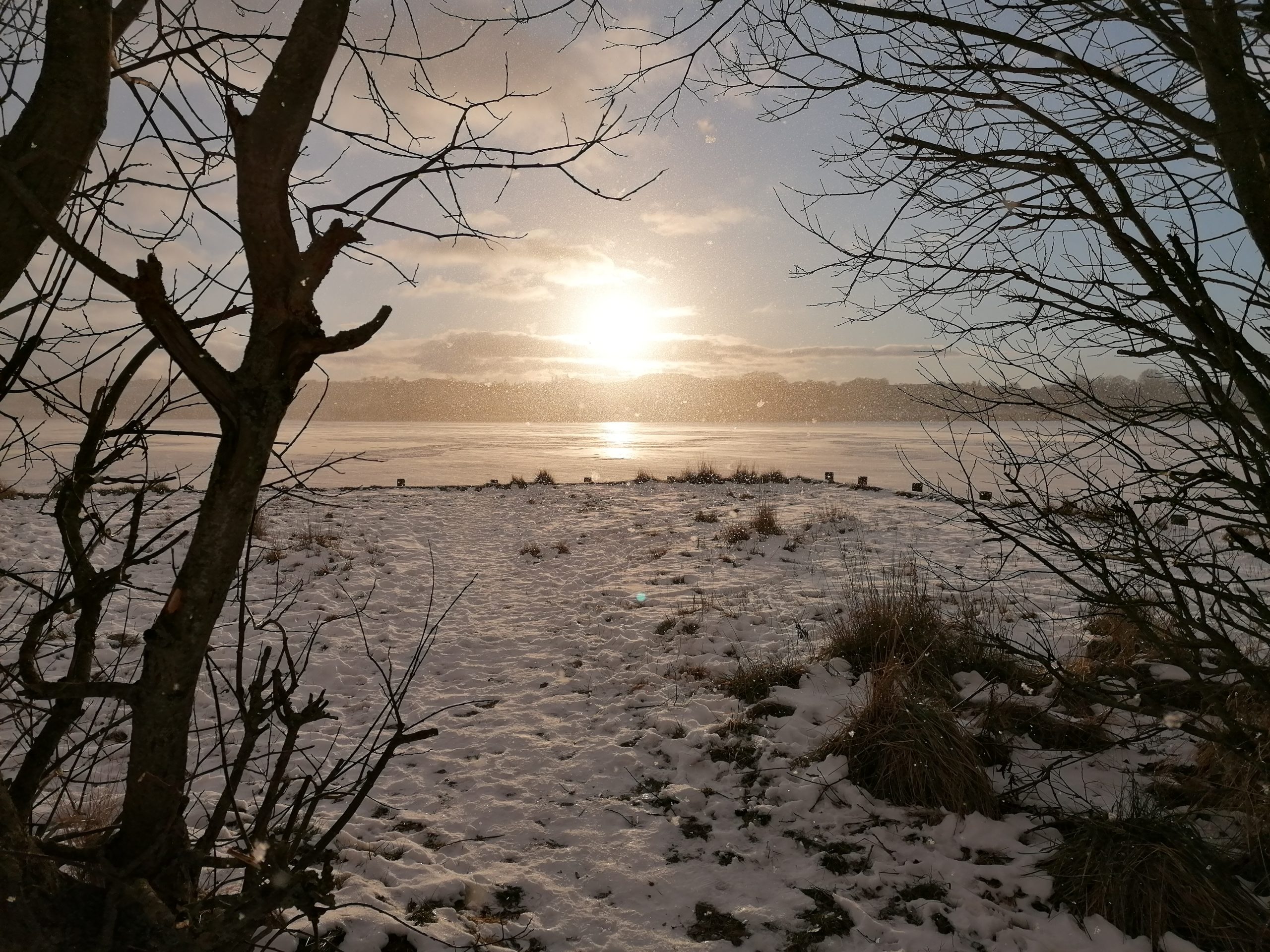 Februar 2021.