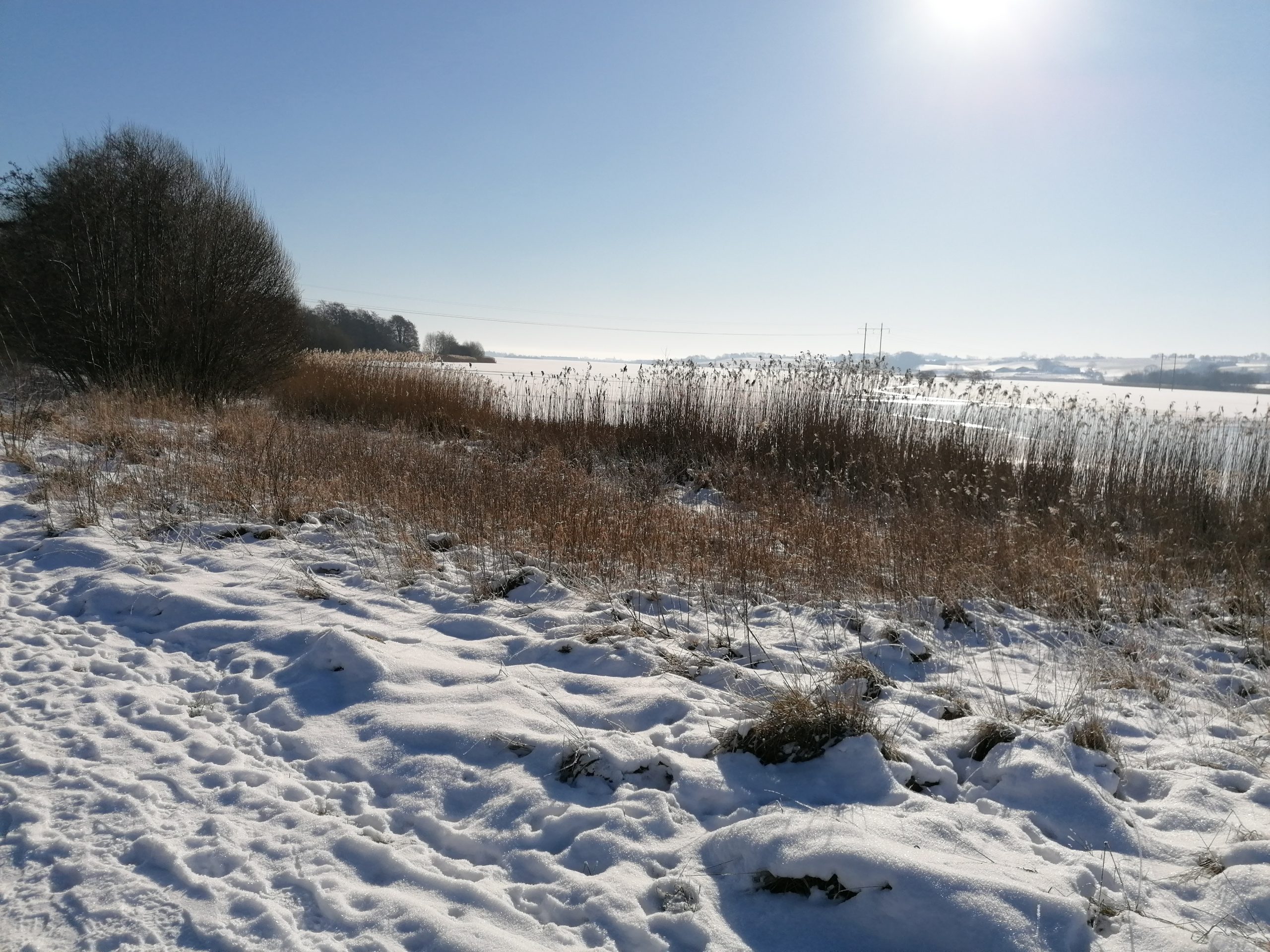 Februar 2021.