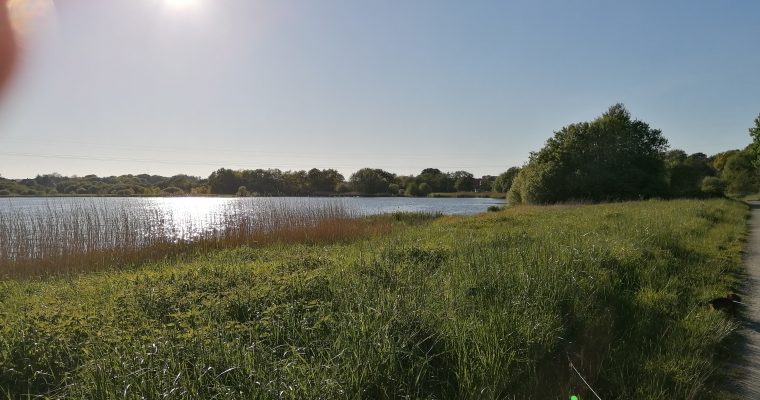 Maj 2021